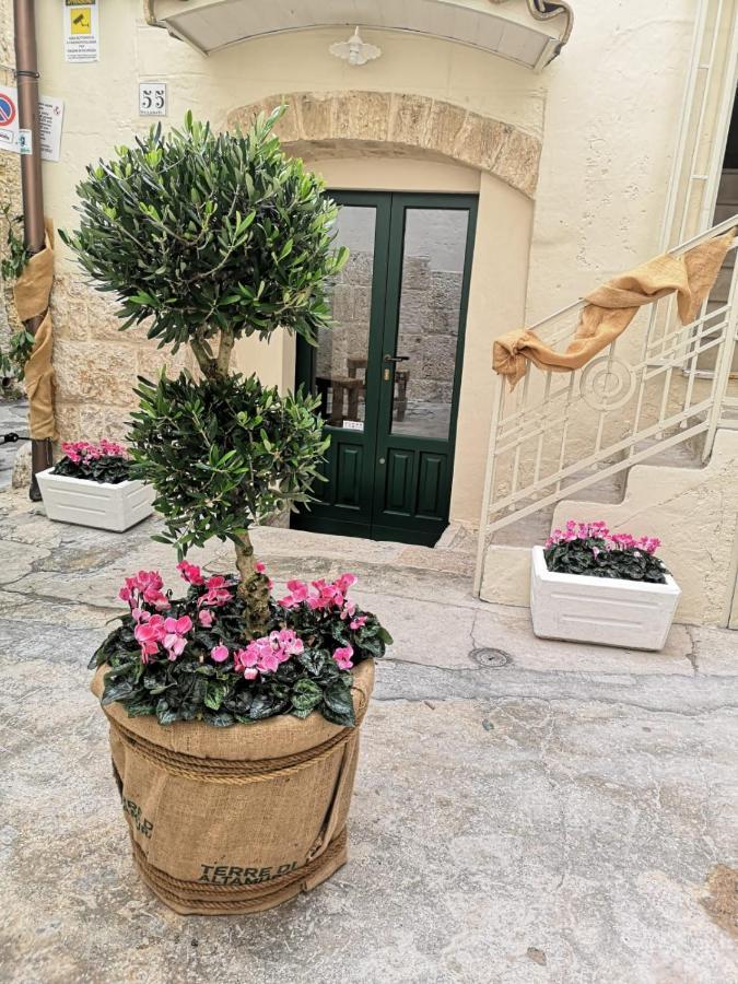 Opera Prima Apartment&room Altamura